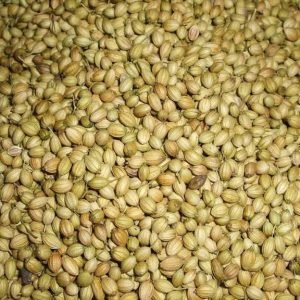 Coriander