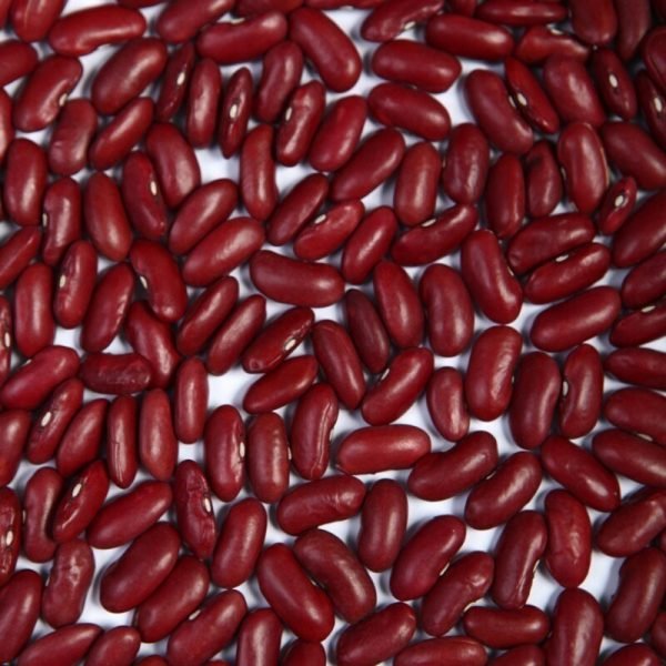 Kidney Beans