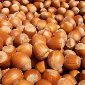 Hazelnuts