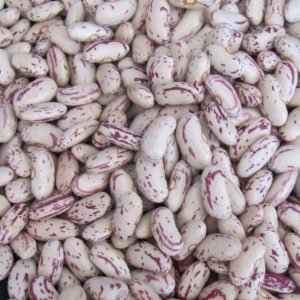 Sugar Beans