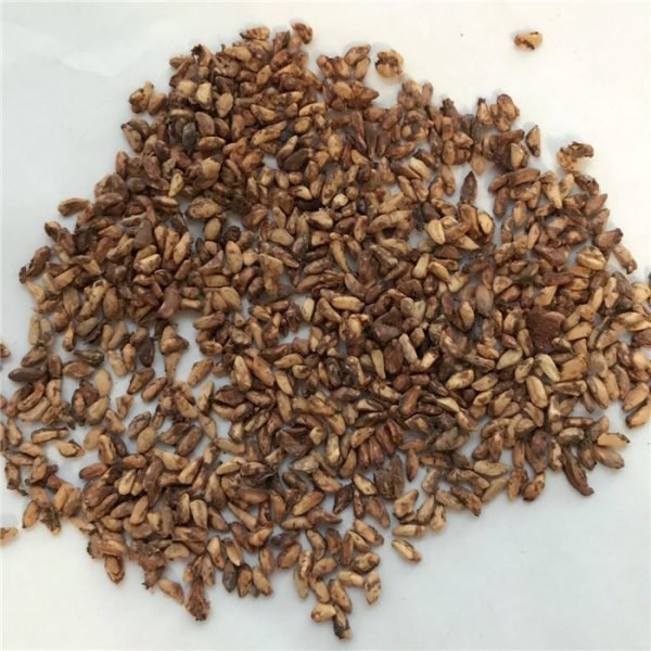 Pomegranate Seed