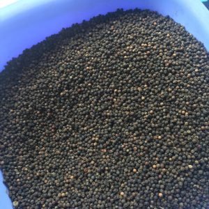 Black Pepper