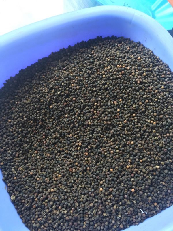 Black Pepper