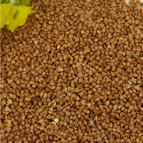 Buckwheat