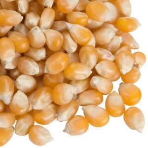 Yellow & White Corn