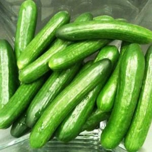 Fresh Cucumber