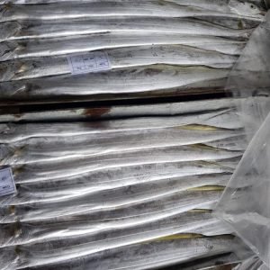 Ribbon Fish