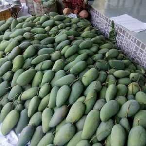 Fresh Mango