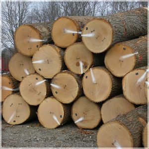 Wood Logs