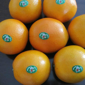 Oranges