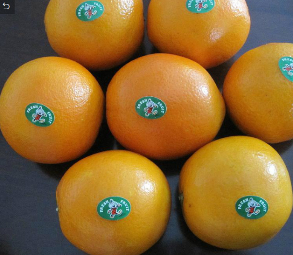 Oranges