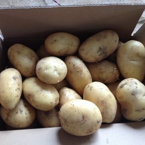 Potatoes